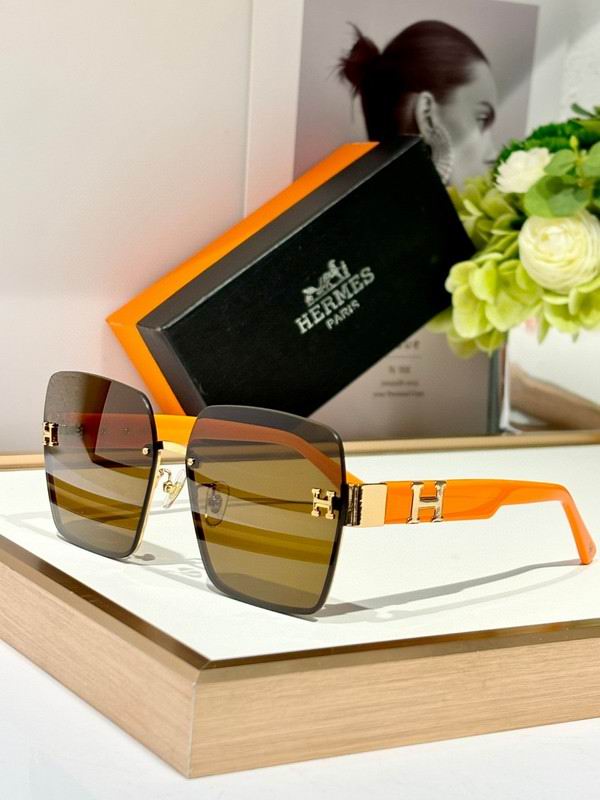 Hermes Glasses 03smh17 (3)