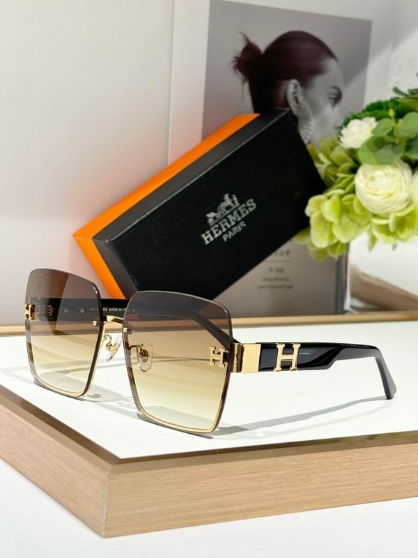 Hermes Glasses 03smh17 (5)