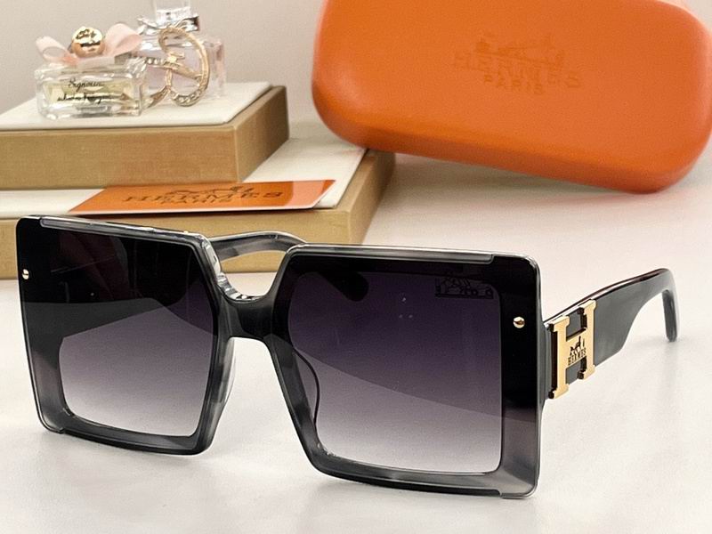 Hermes Glasses 03smh19 (2)