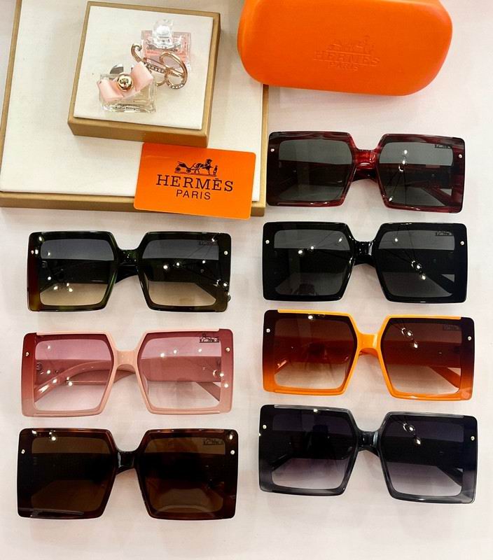 Hermes Glasses 03smh19 (9)