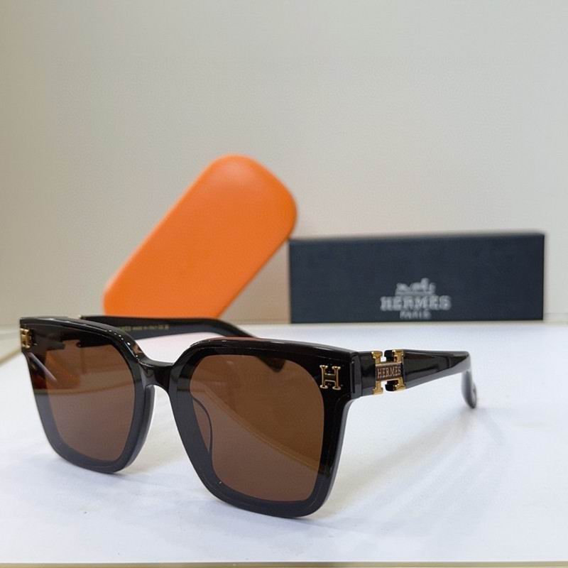 Hermes Glasses 03smh23 (3)