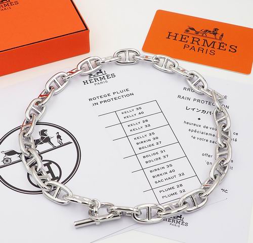 Hermes Necklace 12lyh130 (2)