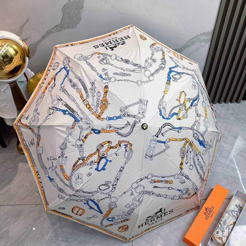 Hermes Umbrella (10)