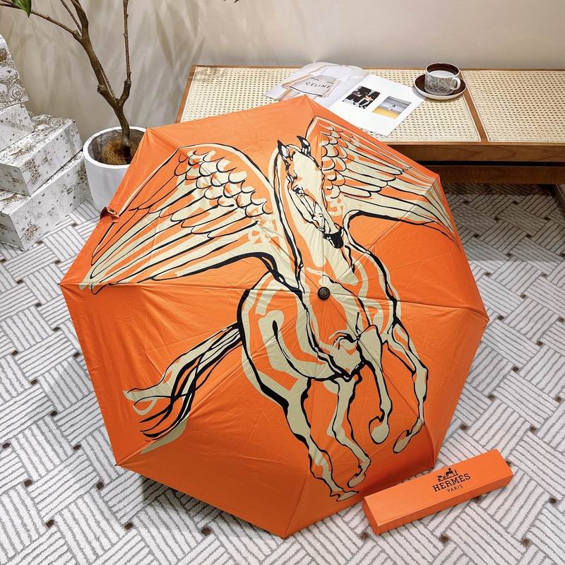 Hermes Umbrella (101)