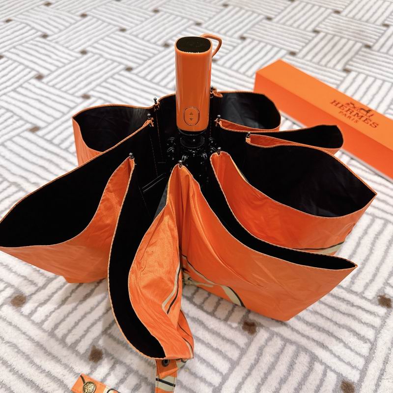 Hermes Umbrella (102)