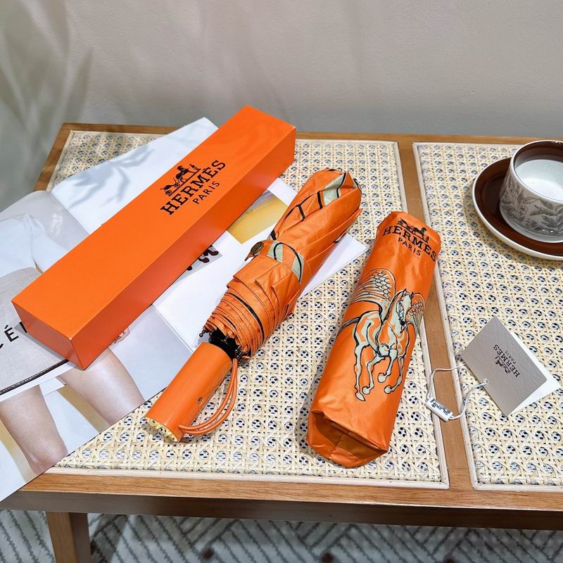 Hermes Umbrella (103)