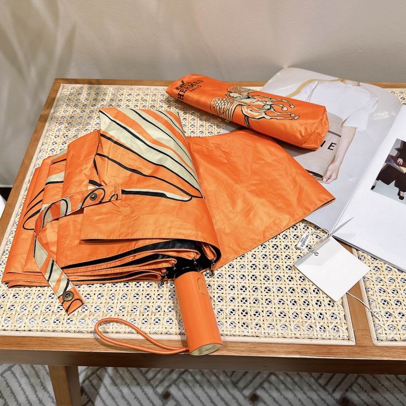 Hermes Umbrella (104)