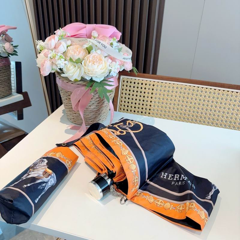 Hermes Umbrella (1057)