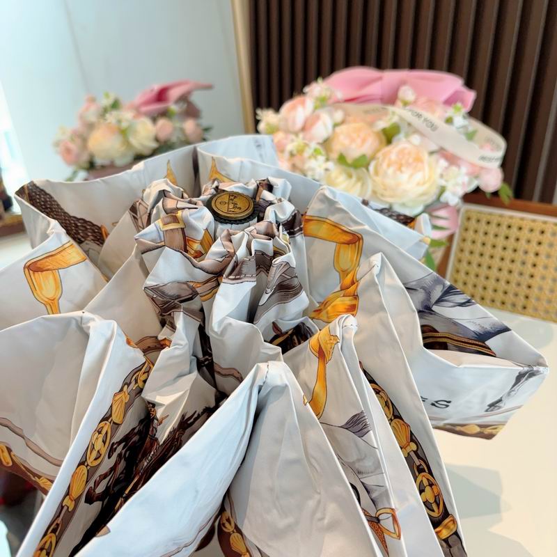 Hermes Umbrella (1065)