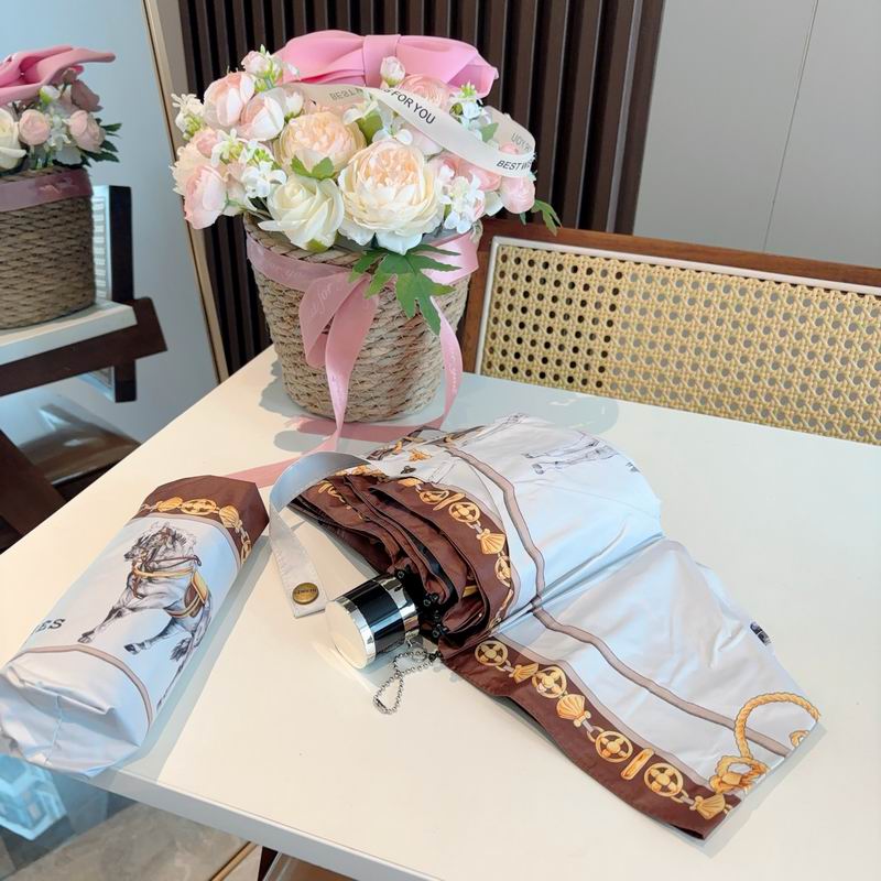 Hermes Umbrella (1066)