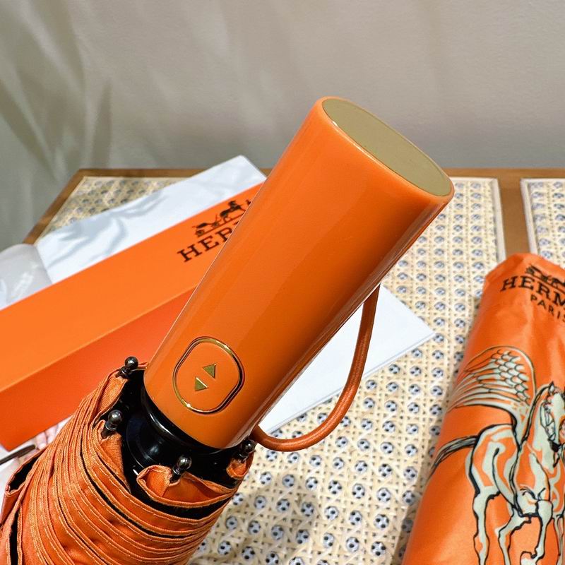 Hermes Umbrella (107)