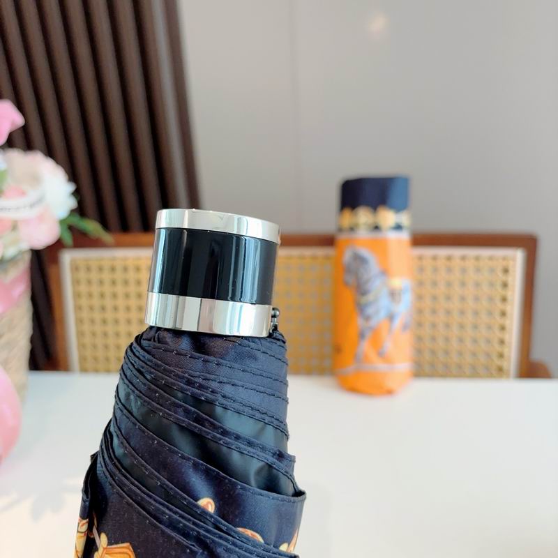 Hermes Umbrella (1073)