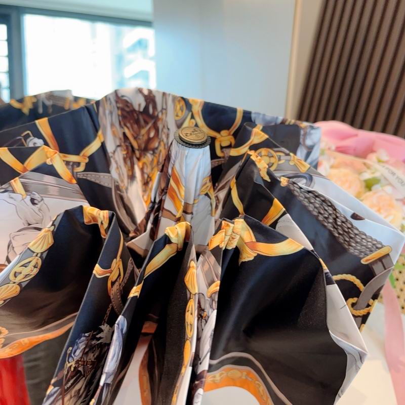 Hermes Umbrella (1083)