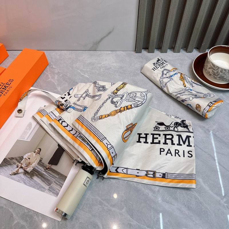 Hermes Umbrella (11)
