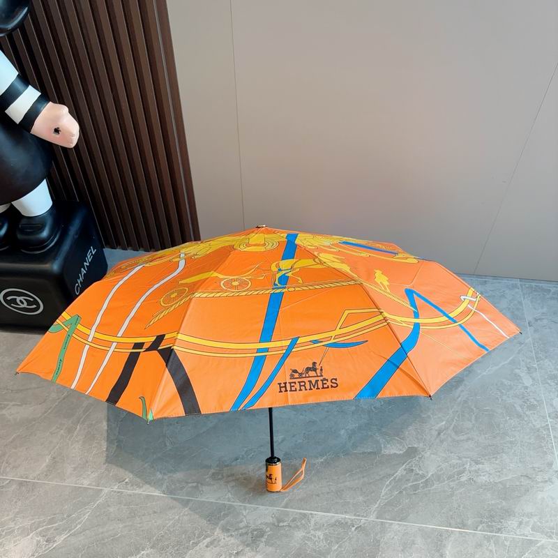 Hermes Umbrella (1131)