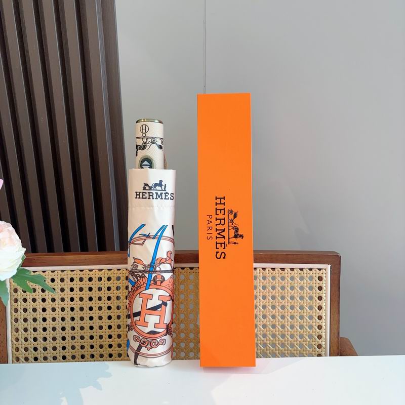 Hermes Umbrella (1134)