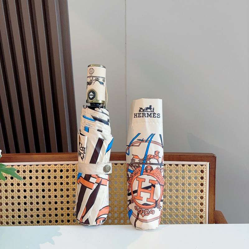 Hermes Umbrella (1135)