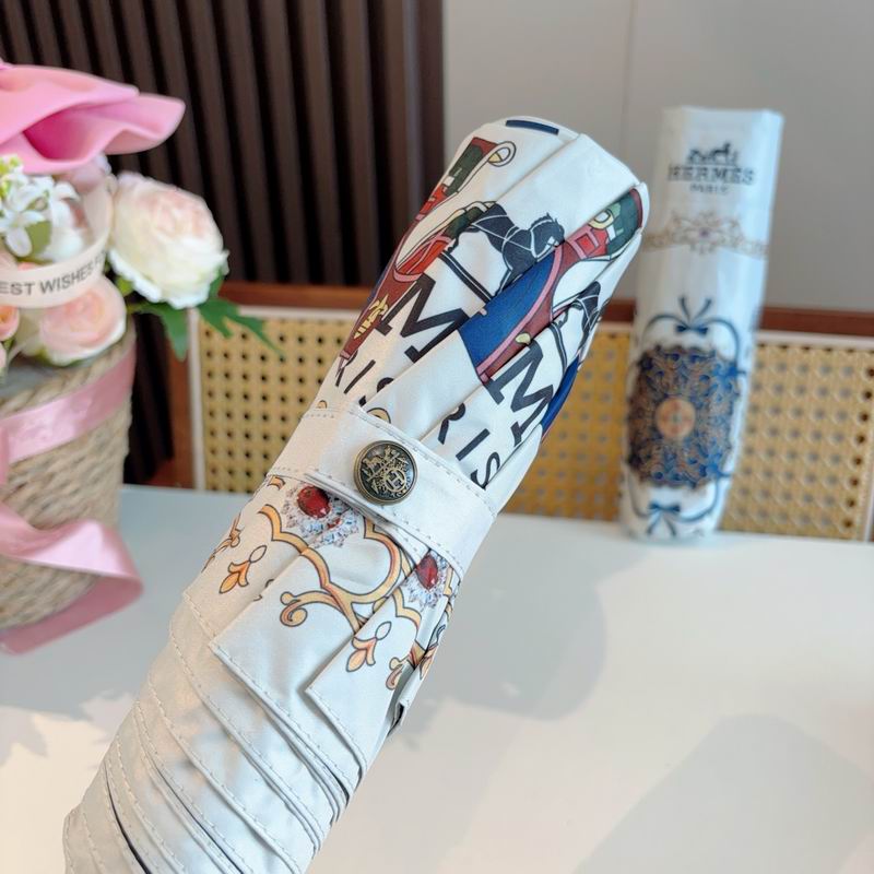 Hermes Umbrella (1162)