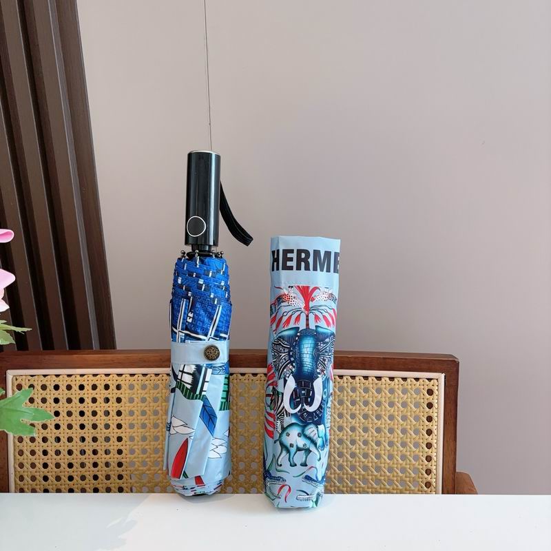 Hermes Umbrella (1179)