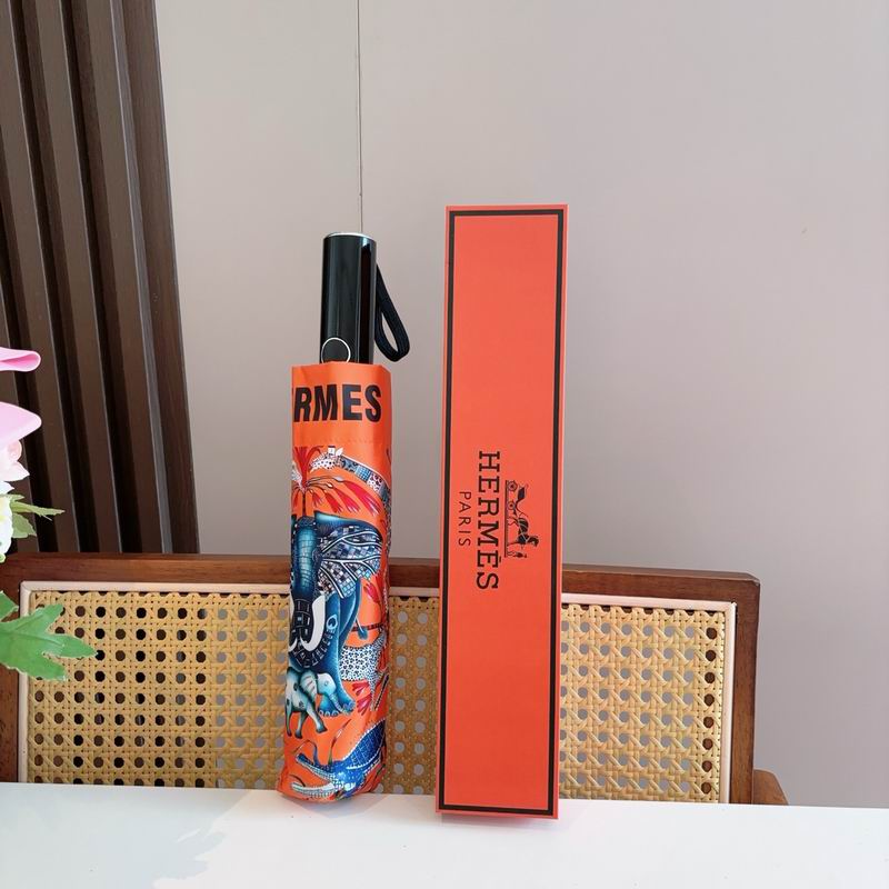 Hermes Umbrella (1197)