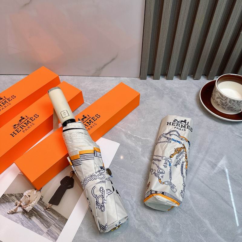 Hermes Umbrella (12)
