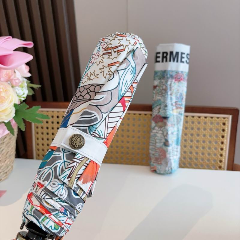 Hermes Umbrella (1217)