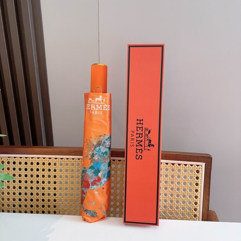 Hermes Umbrella (1223)