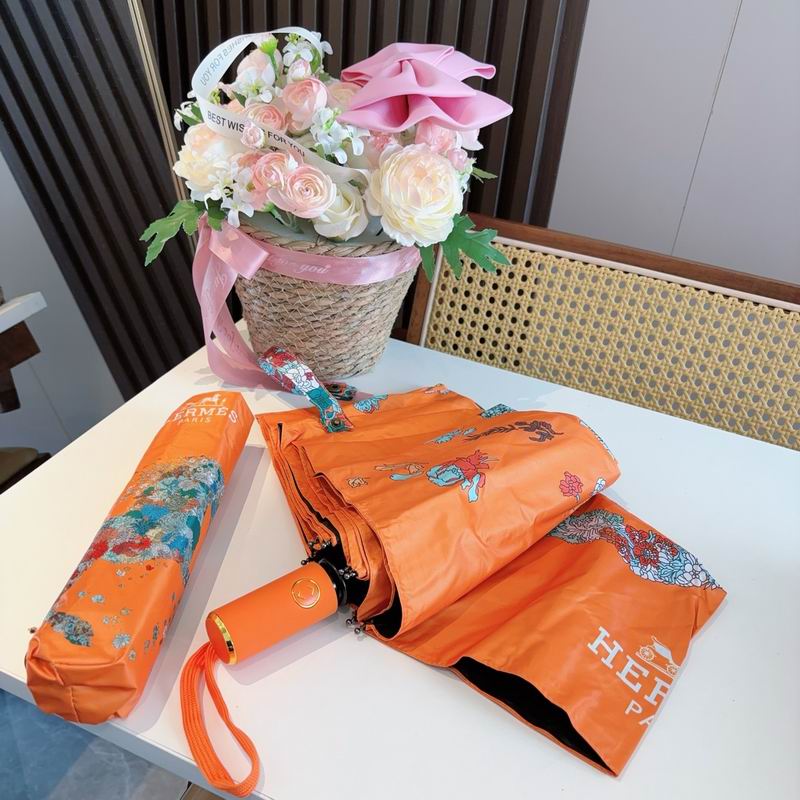 Hermes Umbrella (1228)