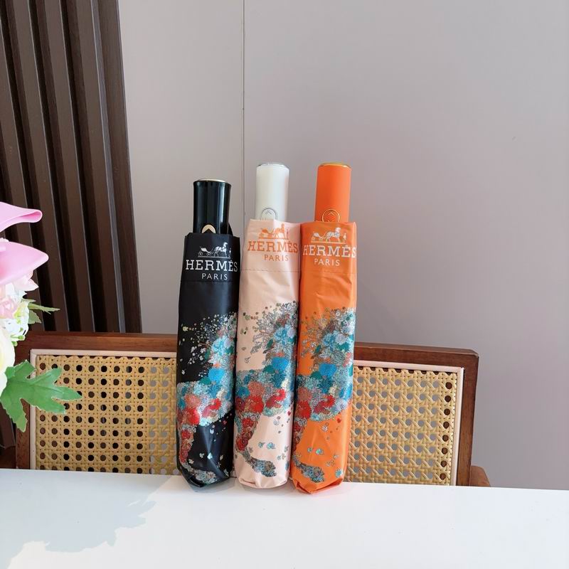 Hermes Umbrella (1232)