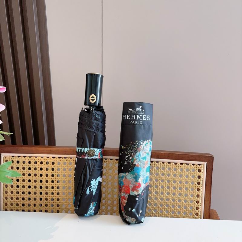 Hermes Umbrella (1234)