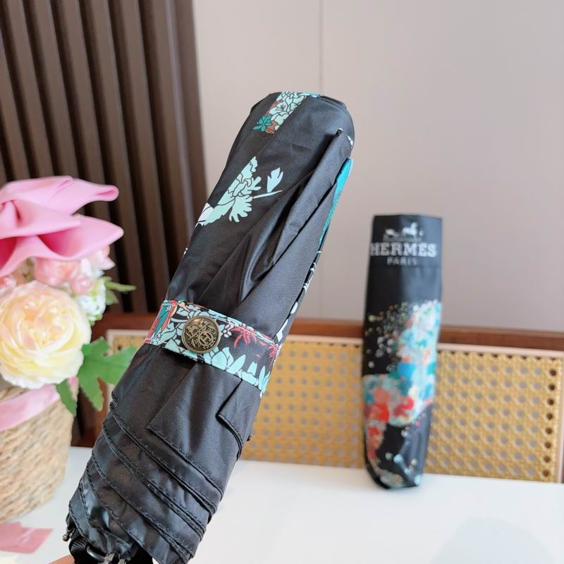 Hermes Umbrella (1235)