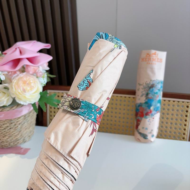 Hermes Umbrella (1243)