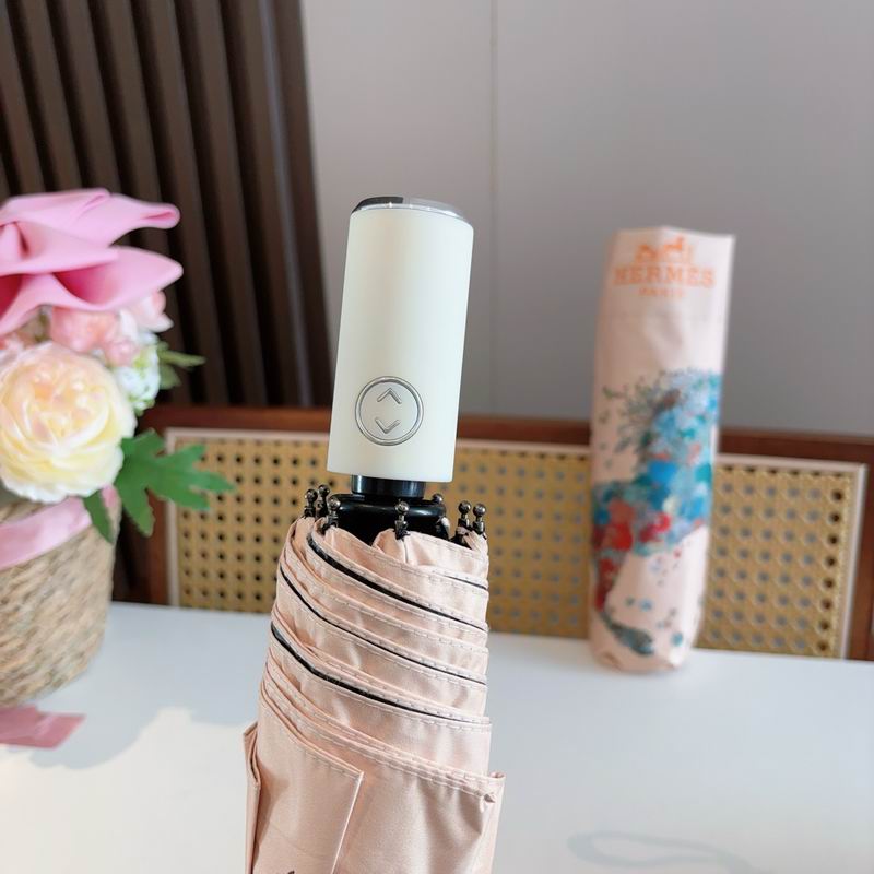 Hermes Umbrella (1244)