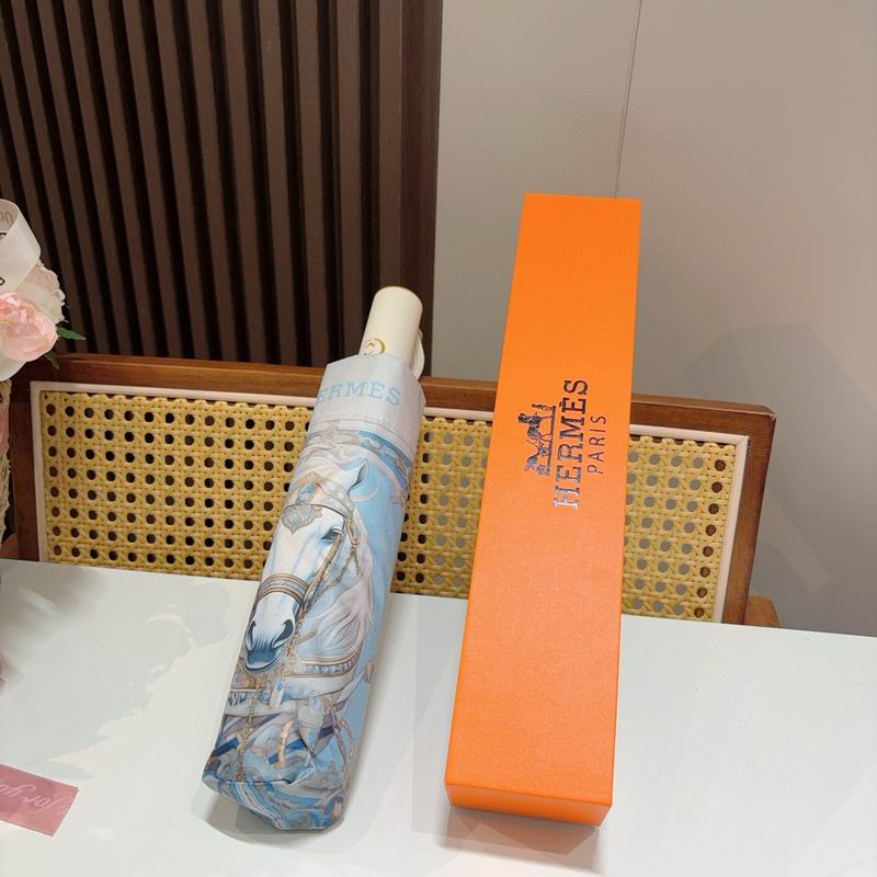 Hermes Umbrella (1251)