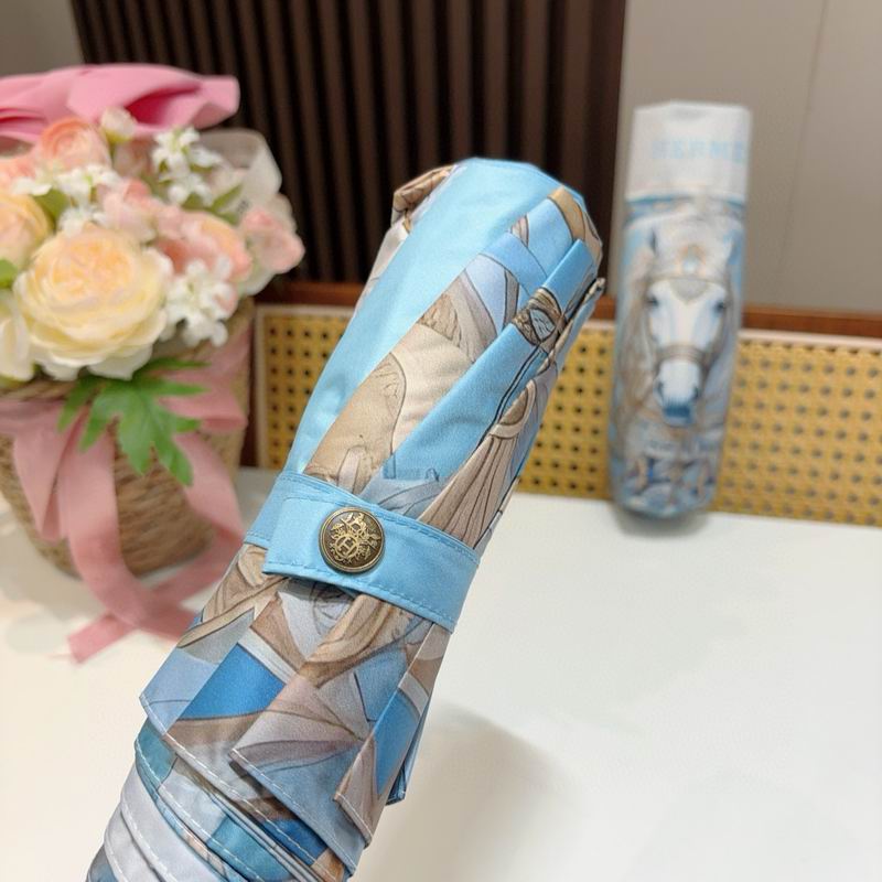 Hermes Umbrella (1253)