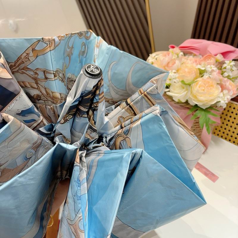 Hermes Umbrella (1254)