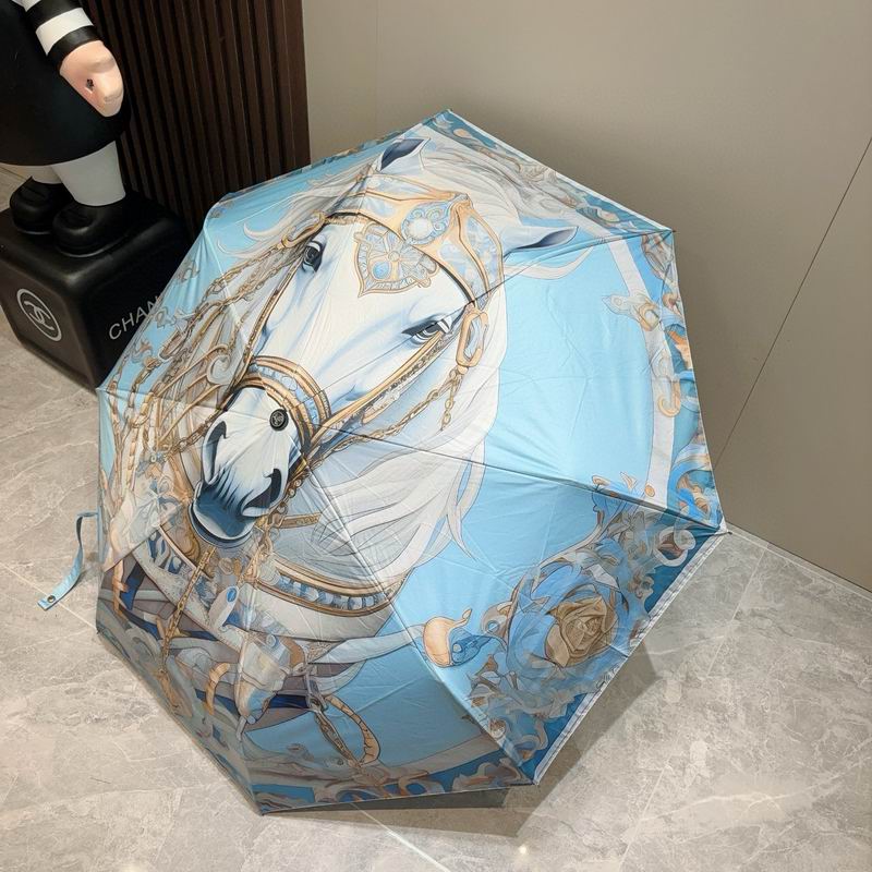 Hermes Umbrella (1257)