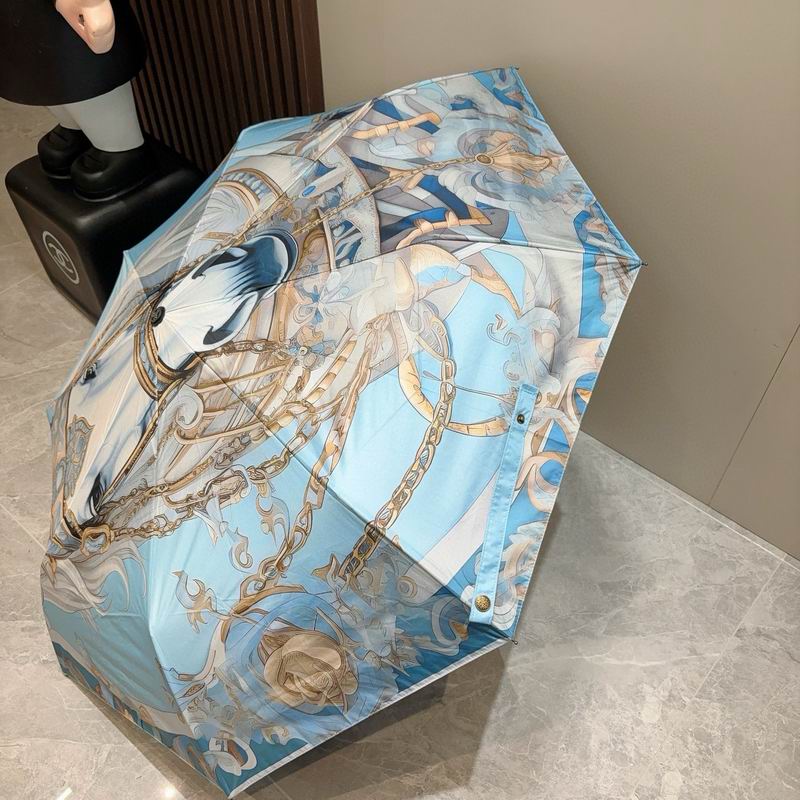 Hermes Umbrella (1258)