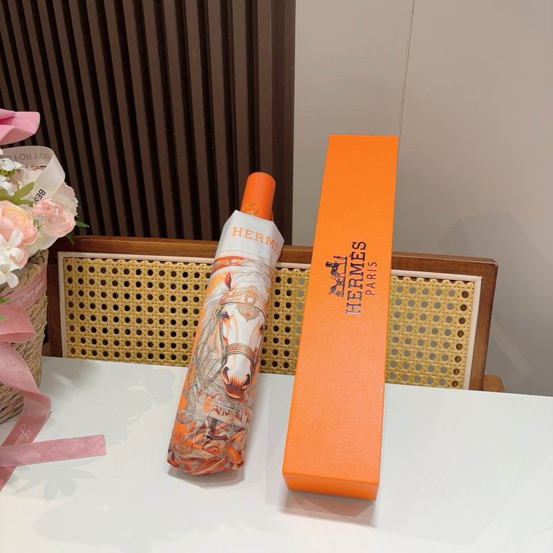 Hermes Umbrella (1259)