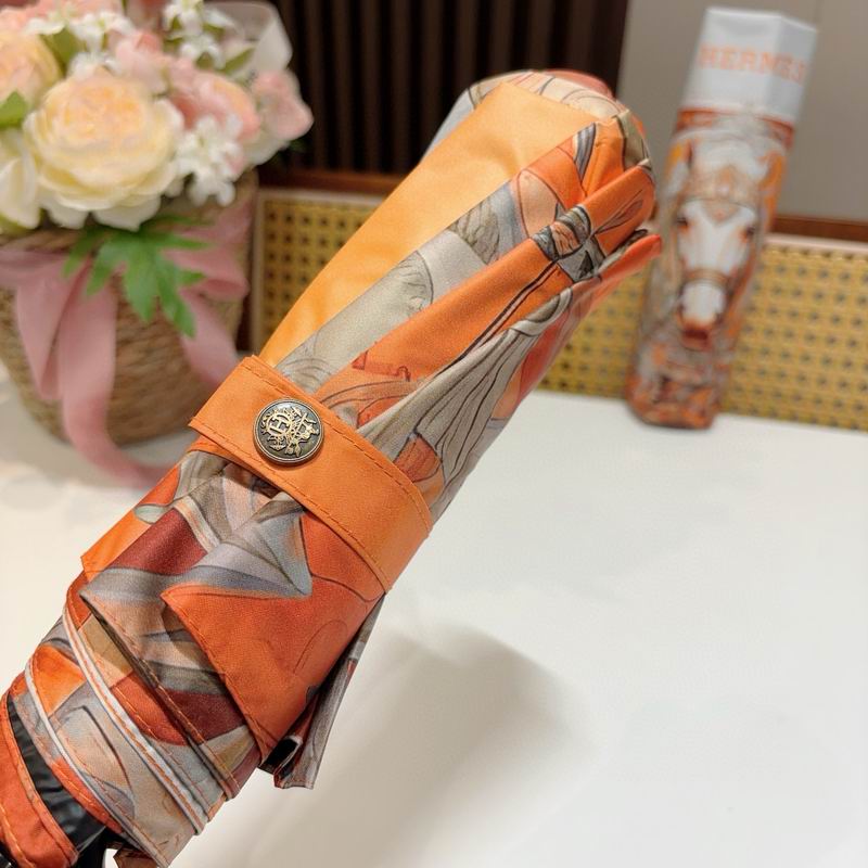 Hermes Umbrella (1261)