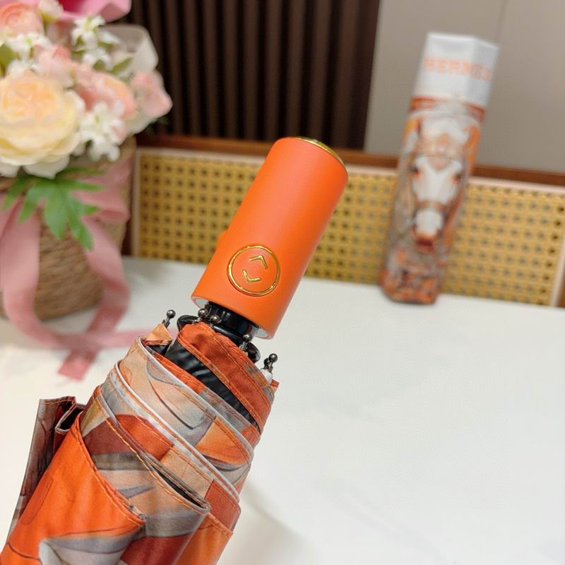 Hermes Umbrella (1262)