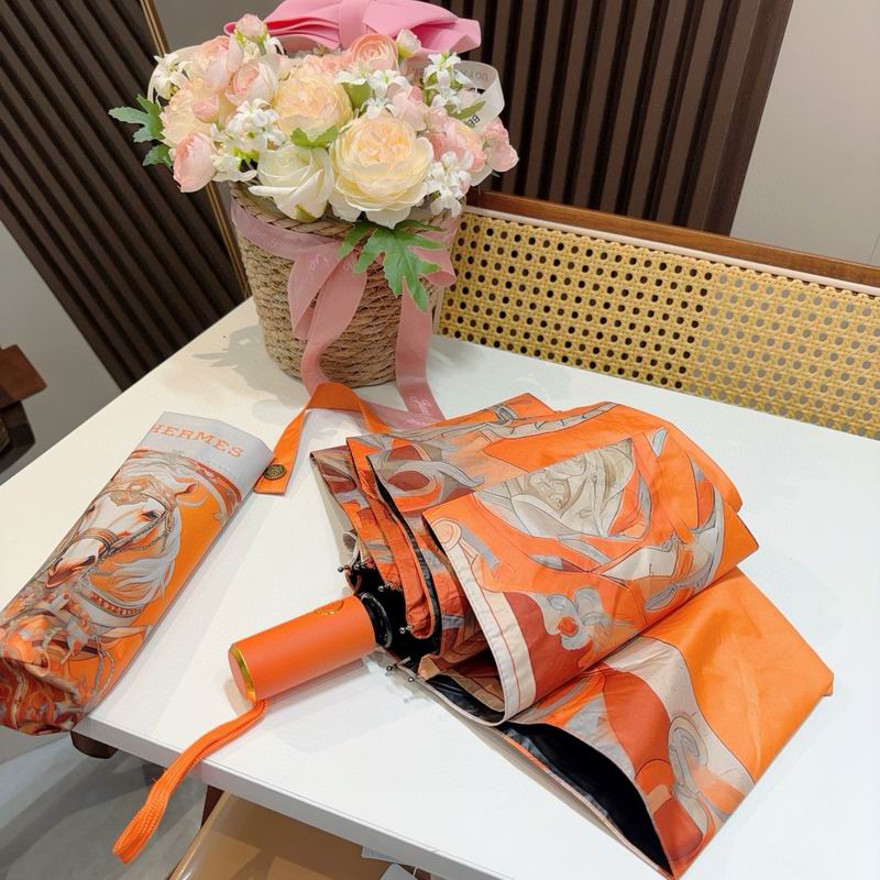 Hermes Umbrella (1264)