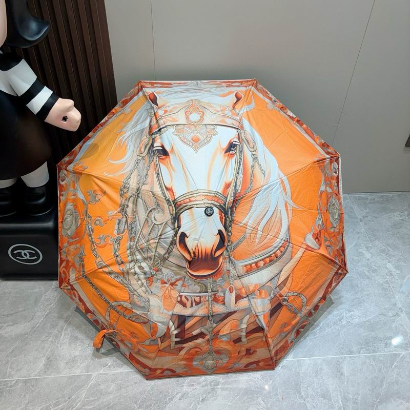 Hermes Umbrella (1265)