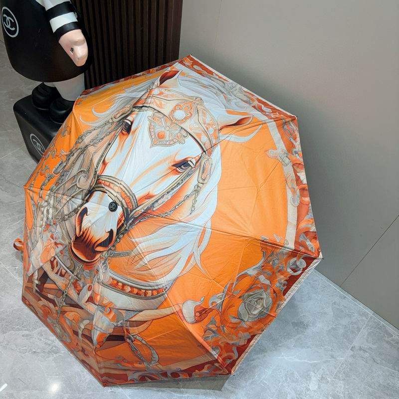 Hermes Umbrella (1266)
