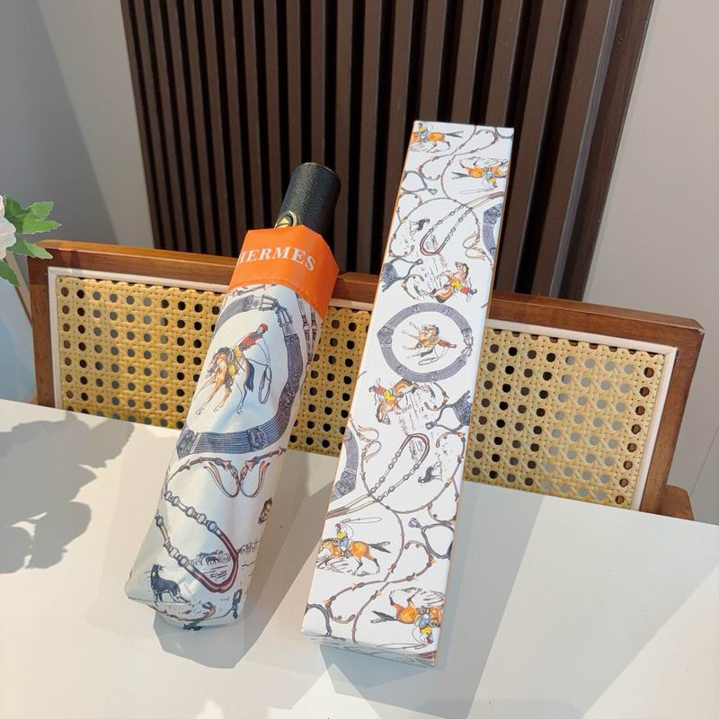 Hermes Umbrella (1295)