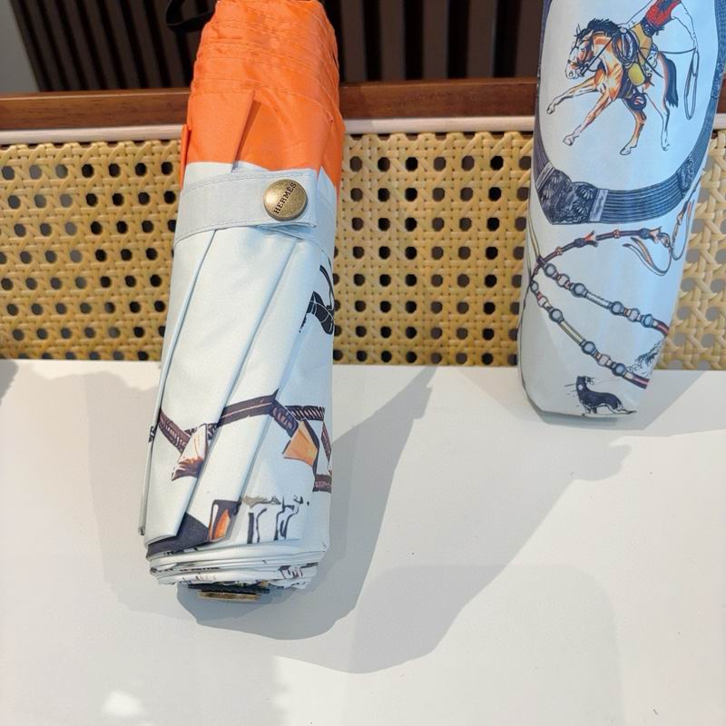 Hermes Umbrella (1297)