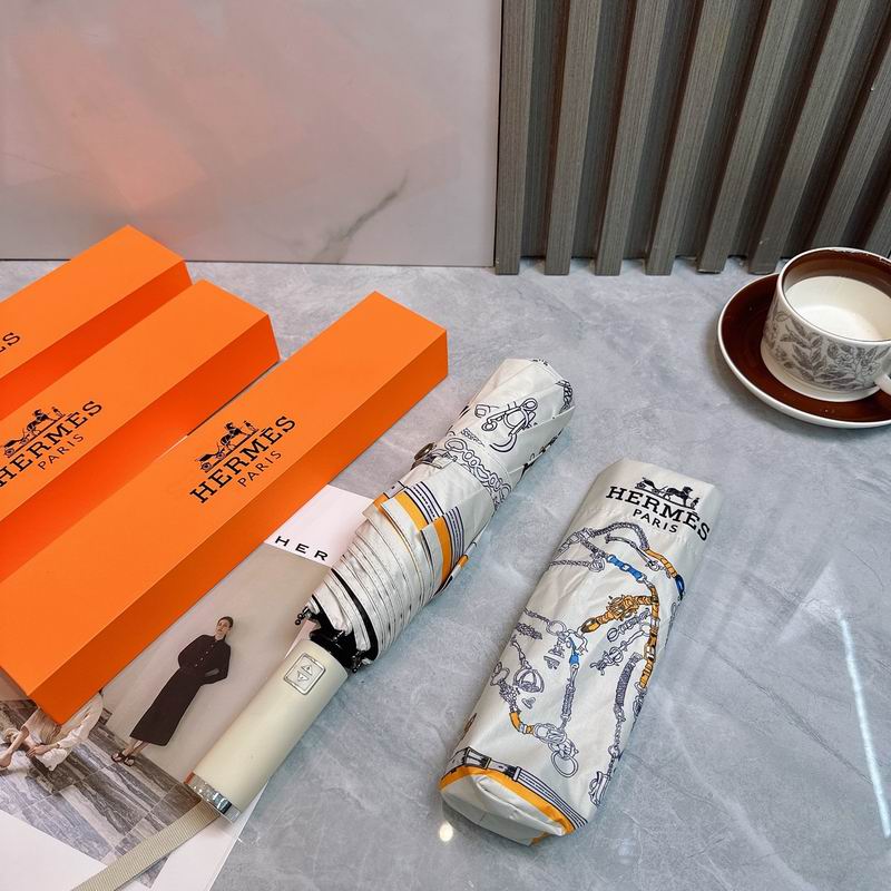 Hermes Umbrella (13)