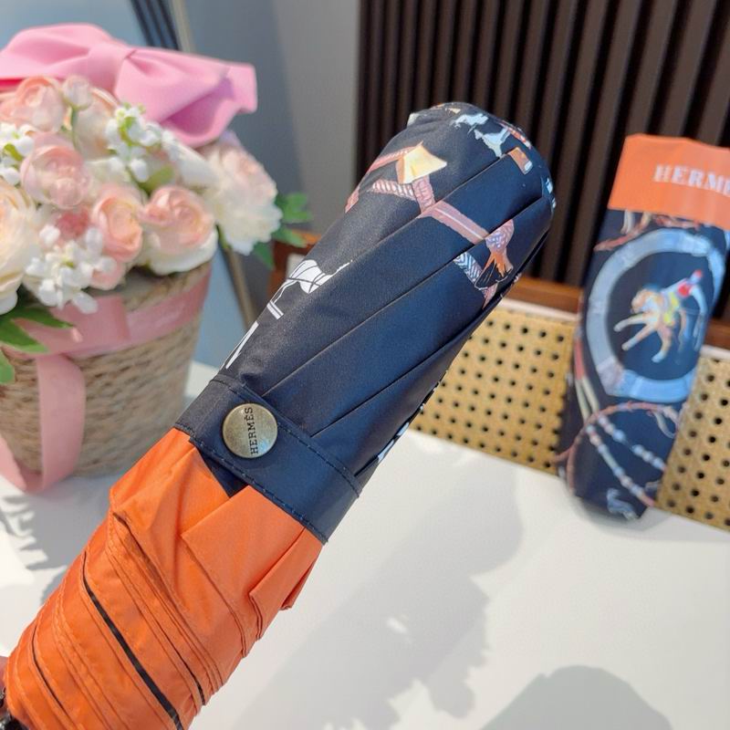 Hermes Umbrella (1307)