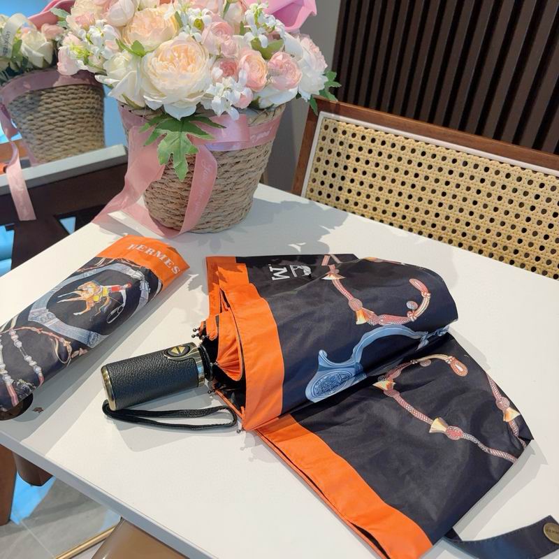 Hermes Umbrella (1309)