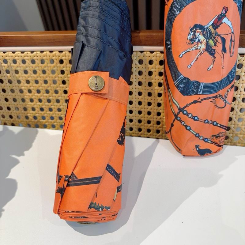 Hermes Umbrella (1315)